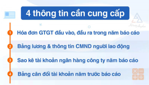 thong-tin-lap-bao-cao-tai-chinh-cuoi-nam-zane