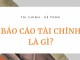 dich-vu-bao-cao-tai-chinh-la-gi