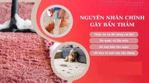 dich-vu-giat-tham-van-phong-zanevietnam