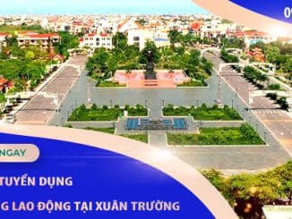 dichvutuyendungcungunglaodongxuantruong