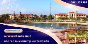 dichvuketoanthuebaocaotaichinhvubannamdinh