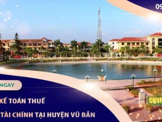 dichvuketoanthuebaocaotaichinhvubannamdinh