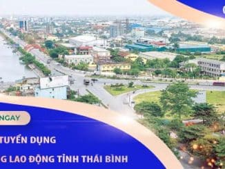 dichvutuyendungcungunglaodongtinhthaibinh
