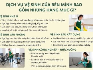 dichvuvesinhcuarzanevietnamgom