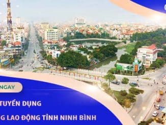 dichvutuyendungcungunglaodongtinhninhbinh