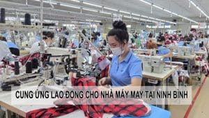 cungunglaodongchonhamaymaytaininhbinh