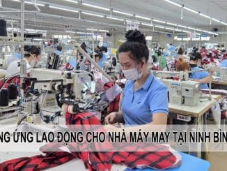 cungunglaodongchonhamaymaytaininhbinh